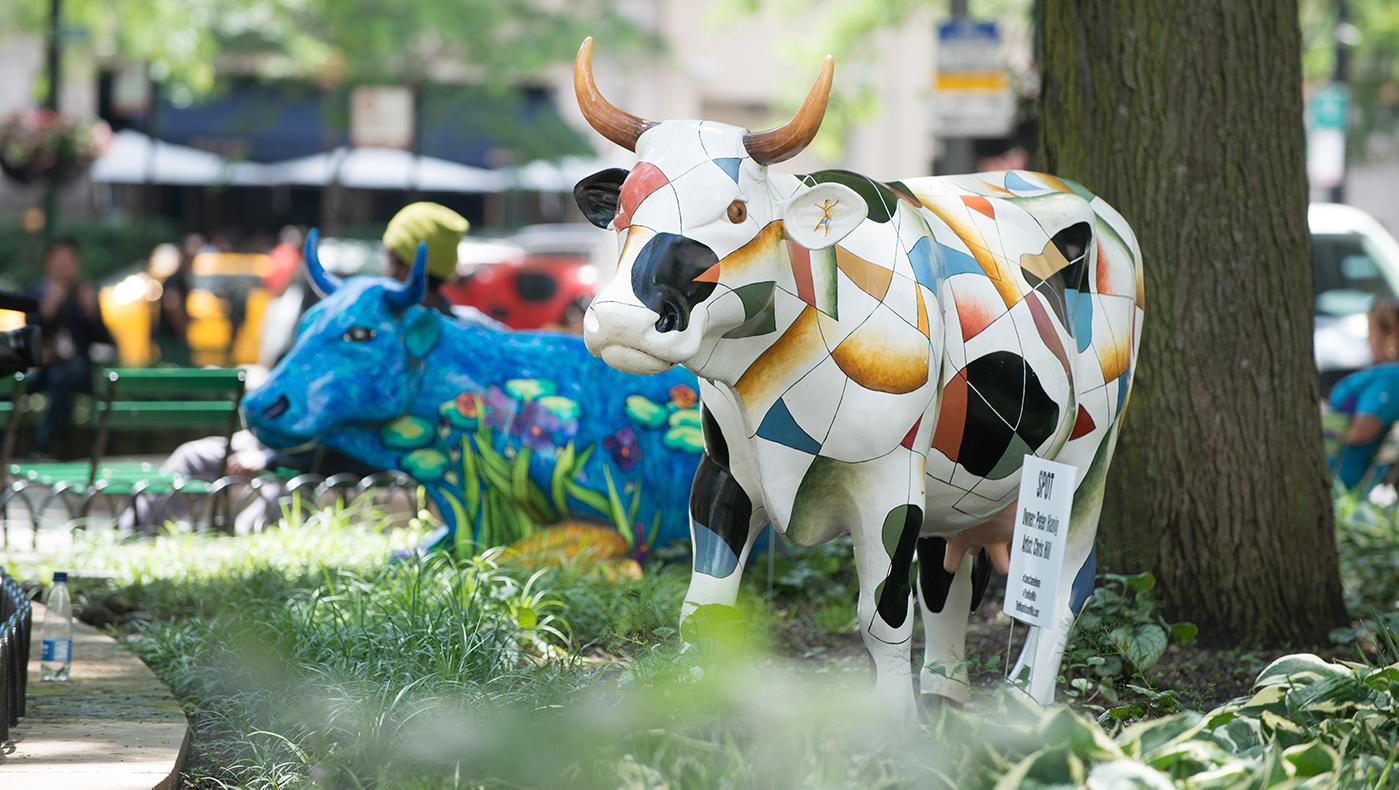 Cows Parade Once Again Through Downtown Chicago WTTW Chicago